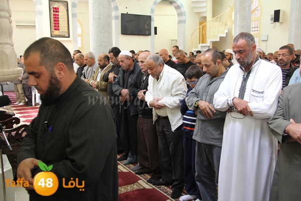 nozha ga2eb salah (1).JPG